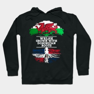 Welsh Grown With Dominican Republic Roots - Gift for Dominican With Roots From Dominican Republic Hoodie